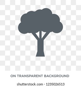 Baobab icon. Trendy flat vector Baobab icon on transparent background from nature collection. 