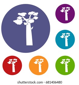 Baobab icons set in flat circle red, blue and green color for web