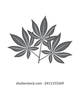 baobab leaf illustration, vector art.