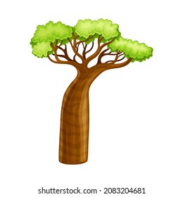 Baobab tree, African landscape design element. Powerful plant with green foliage cartoon vector illustration