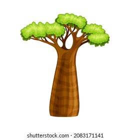 Baobab tree, African powerful plant cartoon vector illustration