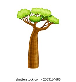 Baobab tree with green foliage, African landscape design element cartoon vector illustration