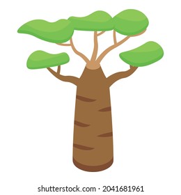Baobab tree icon isometric vector. African seed. Madagascar plant
