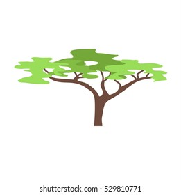 Baobab tree isolated on white vector illustration.