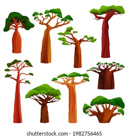 Baobab tree or monkey bread tree set