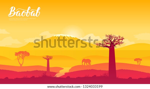アフリカのナミビアのバオバブ ツリーランドページの壁紙オムツデザインコンセプト 南アフリカのクルーガー国立公園中央部のサバンナと草原の日の出 のベクター画像素材 ロイヤリティフリー