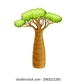 Baobab tree plant, African landscape design cartoon vector illustration