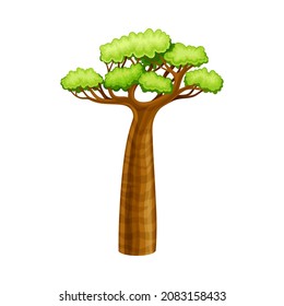 Baobab tree, powerful African plant with green foliage cartoon vector illustration