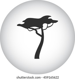 Baobab tree sign simple icon on background