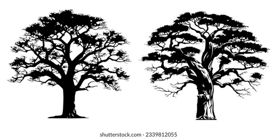 Conjunto de ilustraciones de silueta de árbol baobab