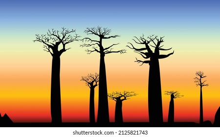 Atardecer de árbol baobab y fondo salvaje naranja azul