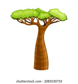Baobab tree with a thick barrel, African powerful plant cartoon vector illustration