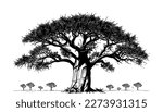 Baobab tree vector black line illustration isolated white. Sketch art