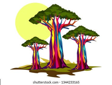 baobab trees for background and illustartion