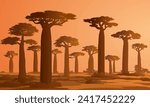 Baobab Trees at the evening, Madagascar Nature, eps