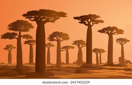 Baobab Trees at the evening, Madagascar Nature, eps svg