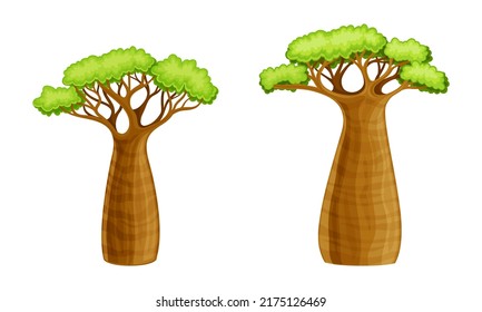 Baobab trees, powerful African plant with green leaves cartoon vector illustration