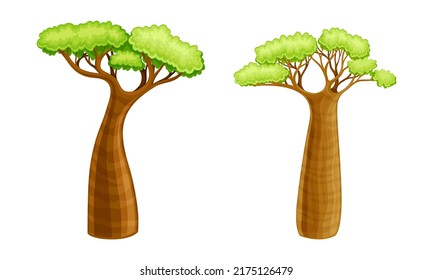 Baobab trees set. Powerful plant with green foliage cartoon vector illustration