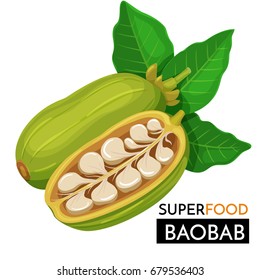 Baobab vector icon. Healthy detox natural product superfood illustration for design market menu superfood .