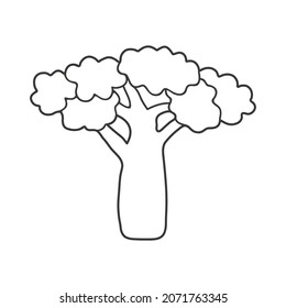 Baobab vector illustration.African tree.  Isolated on white background