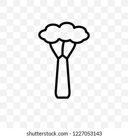 Baobab vector linear icon isolated on transparent background, Baobab transparency concept can be used for web and mobile
