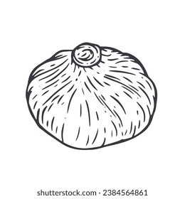 Baozi. Hand drawn traditional cuisine food in monochrome sketch style. Dumpling vector illustration.