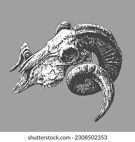Baphomet Goat Satanic Head with Pentagram