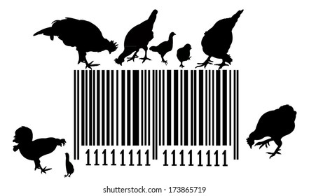 Bar code and chickens on it, vector illustration