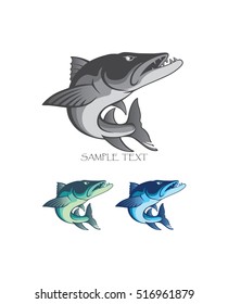 baracuda fish