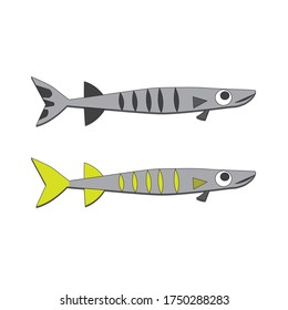 baracuda school in dive site