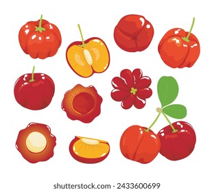 Barbados cherry Red acerola cherry fruits