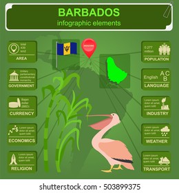 Barbados infographics, statistical data, sights. Pelican, sugarcane, national symbol. Vector illustration