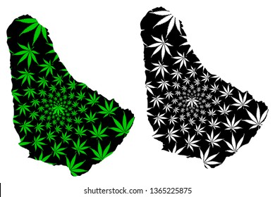 Barbados - map is designed cannabis leaf green and black, Barbados island map made of marijuana (marihuana,THC) foliage,