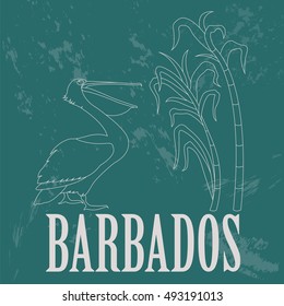 Barbados national symbols. Pelican; sugarcane. Retro styled image. Vector illustration