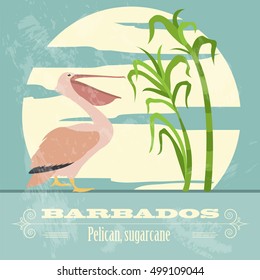 Barbados national symbols. Pelican; sugarcane. Retro styled image. Vector illustration