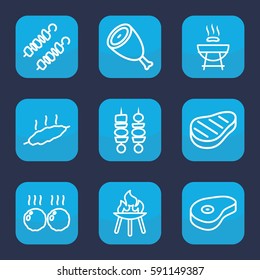 barbecue icon. Set of 9 outline barbecue icons such as beef, kebab, meat, bbq