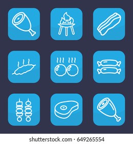 Barbecue icon. set of 9 outline barbecue icons such as sausage, beef, kebab, bacon, meat