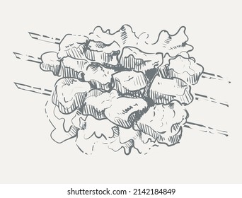 Barbecue on a skewer with salad sketch hand drawn vector illustration