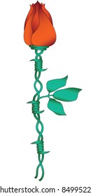 Barbed Rose Bud