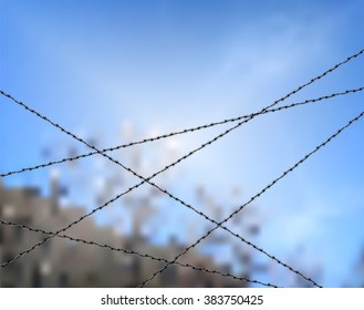Barbed wire against blue sky. Protection or security vector concept. Sky bounded by barbed wire. Metallic fence for barrier or property protection 