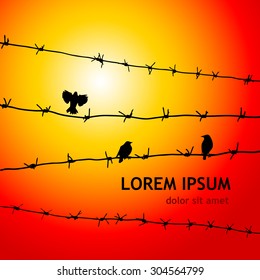 Barbed wire with birds. Vector