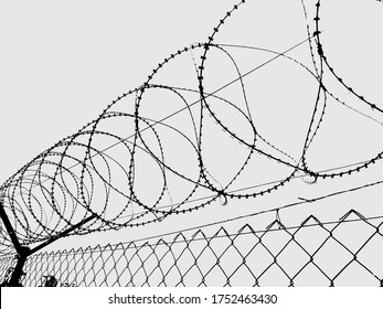 Barbed wire black and white vector. Landscape, prison, jail.