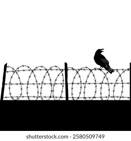 Barbed wire. crow sitting on barbed wire silhouettes. vector prison concept background