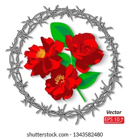 Barbed wire frame, flowers  red roses , isolated on white background vector illustration 