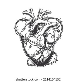 Barbed wire heart anatomically hand drawn line art. vintage Flash tattoo or print design vector illustration.