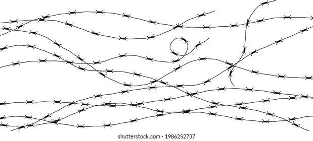 Barbed Wire Isolated on White. Wired Border of Prison or War Zone.