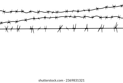 Barbed Wire Isolated on White. Wired Border of Prison or War Zone.