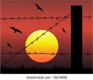 Barbed wire silhouette against the sunset