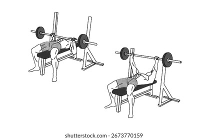 Barbell Bench Prensa
Ejercicio para el pecho, tríceps y deltoides frontales