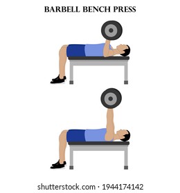 Barbell bench press vector illustration on the white background.